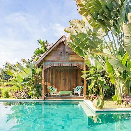 אובוד Hati Padi Cottages מראה חיצוני תמונה