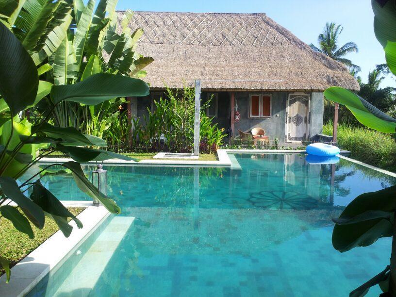 אובוד Hati Padi Cottages מראה חיצוני תמונה