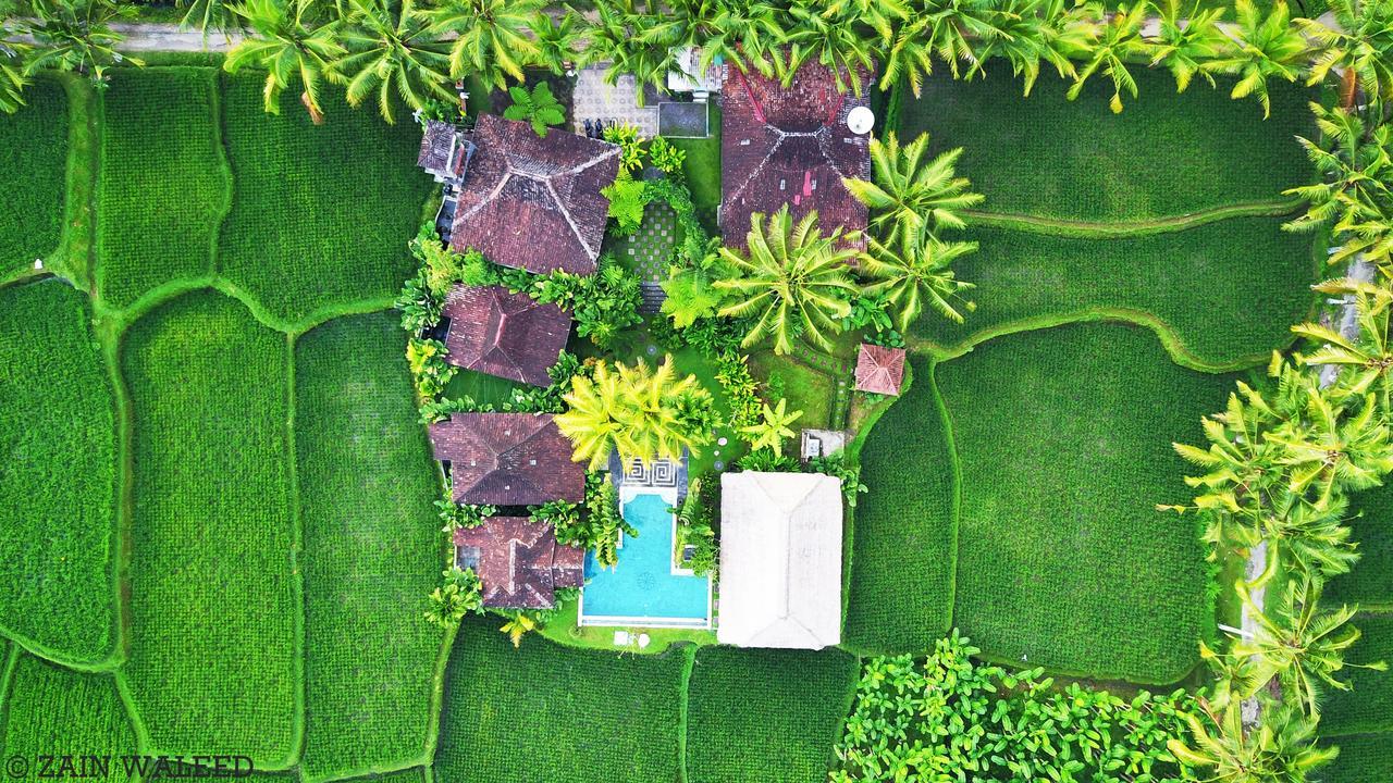 אובוד Hati Padi Cottages מראה חיצוני תמונה