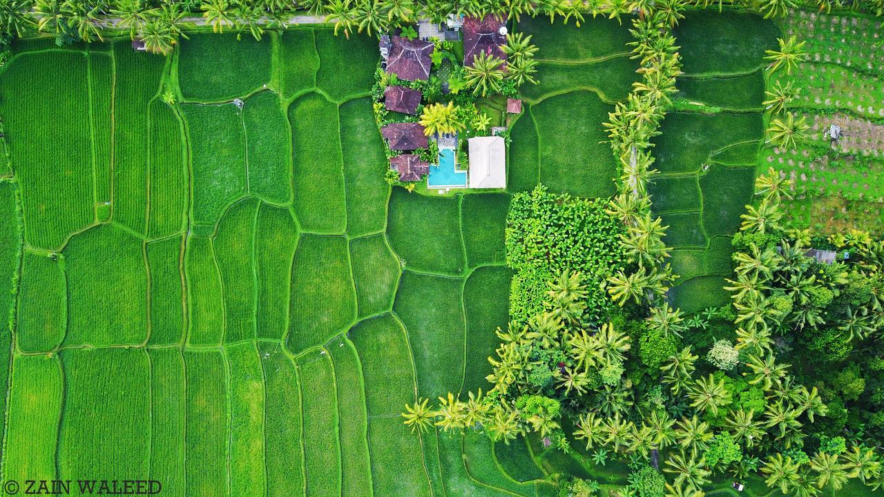 אובוד Hati Padi Cottages מראה חיצוני תמונה