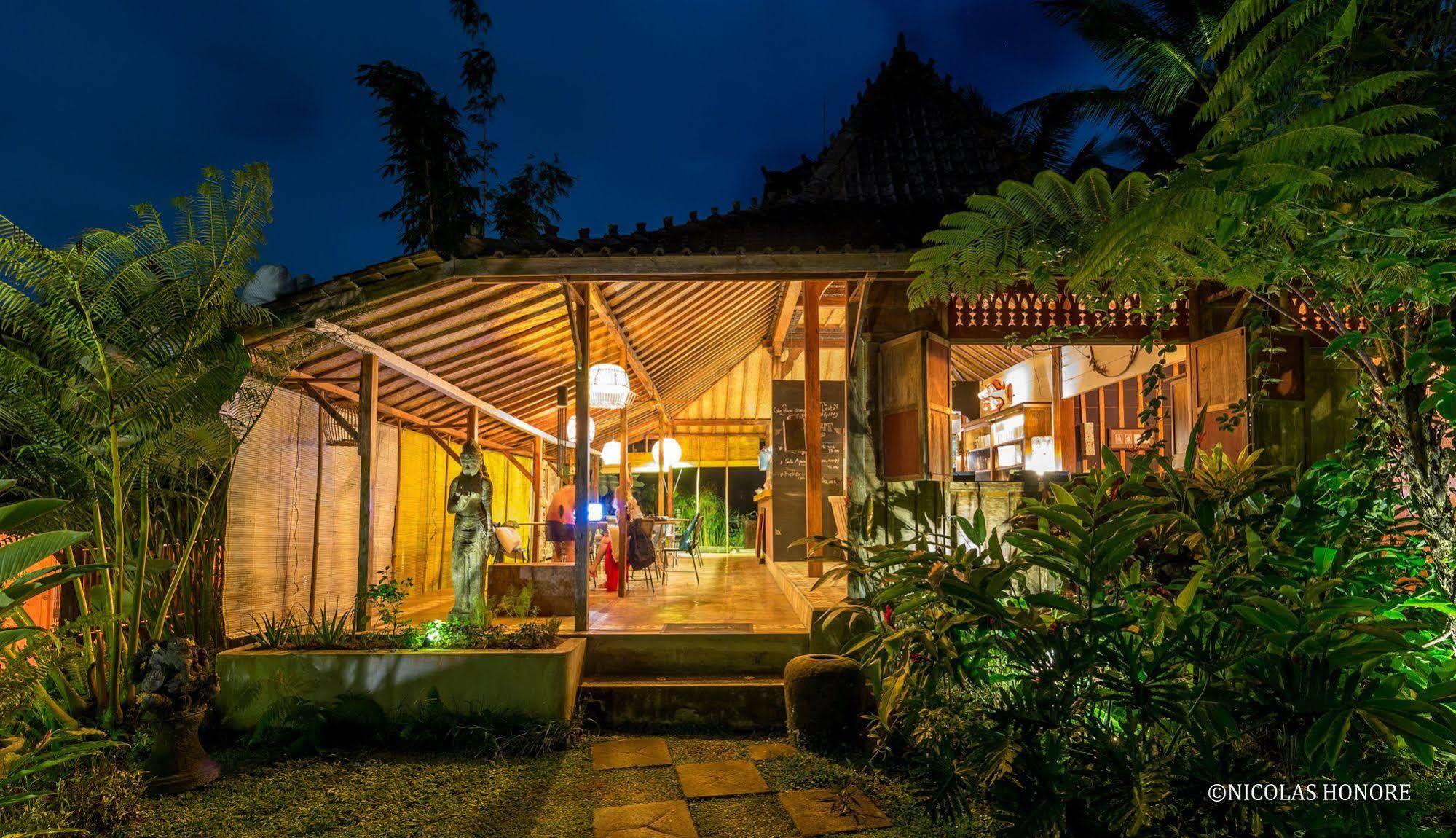 אובוד Hati Padi Cottages מראה חיצוני תמונה