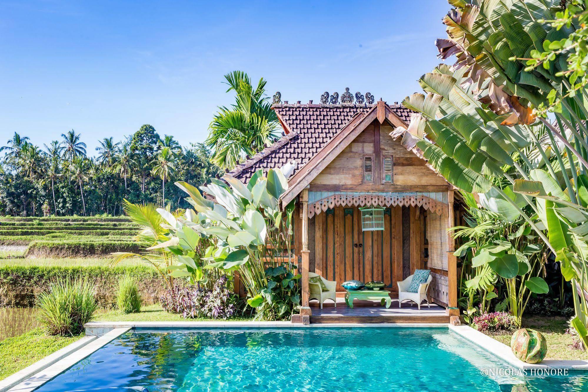 אובוד Hati Padi Cottages מראה חיצוני תמונה