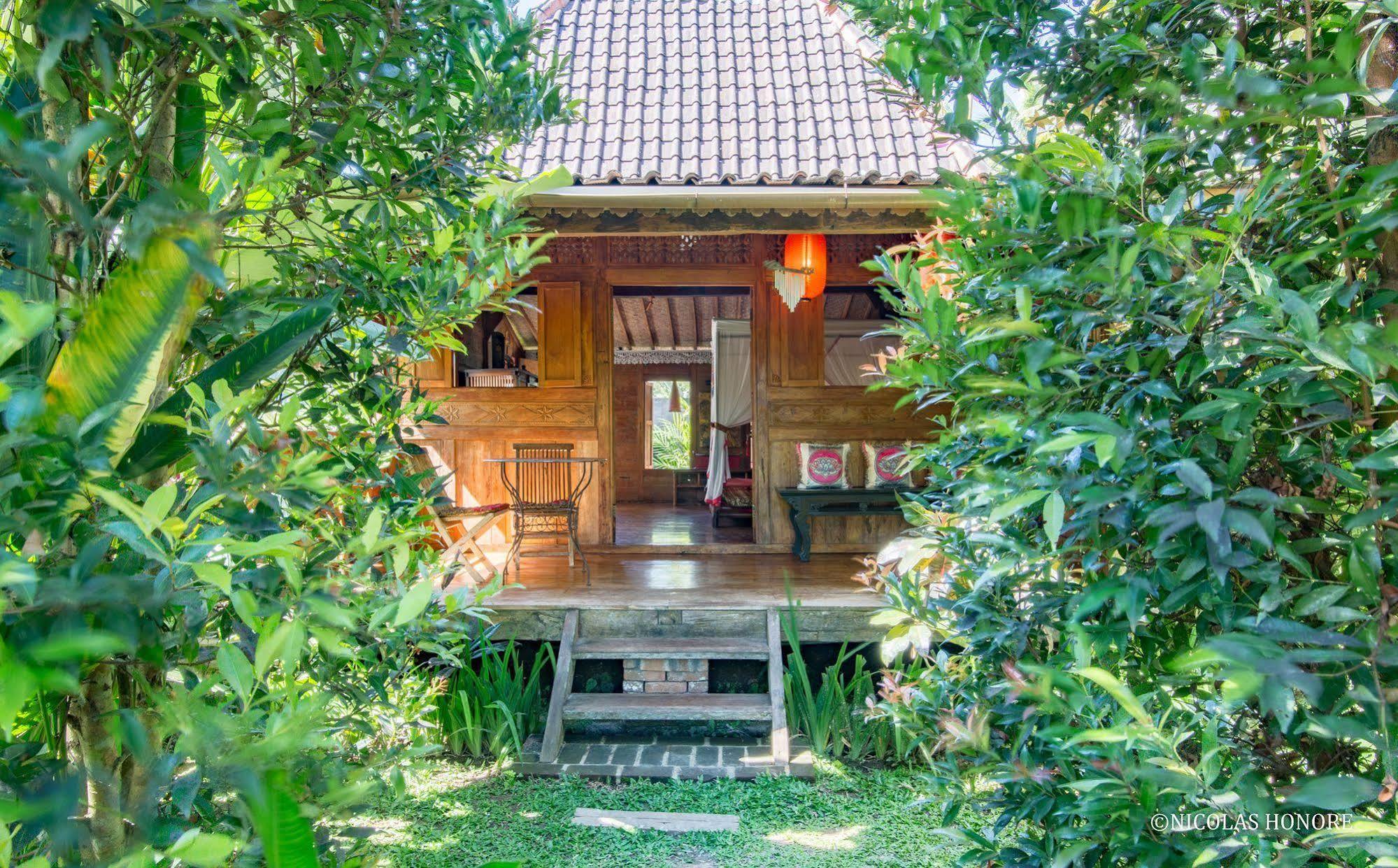אובוד Hati Padi Cottages מראה חיצוני תמונה