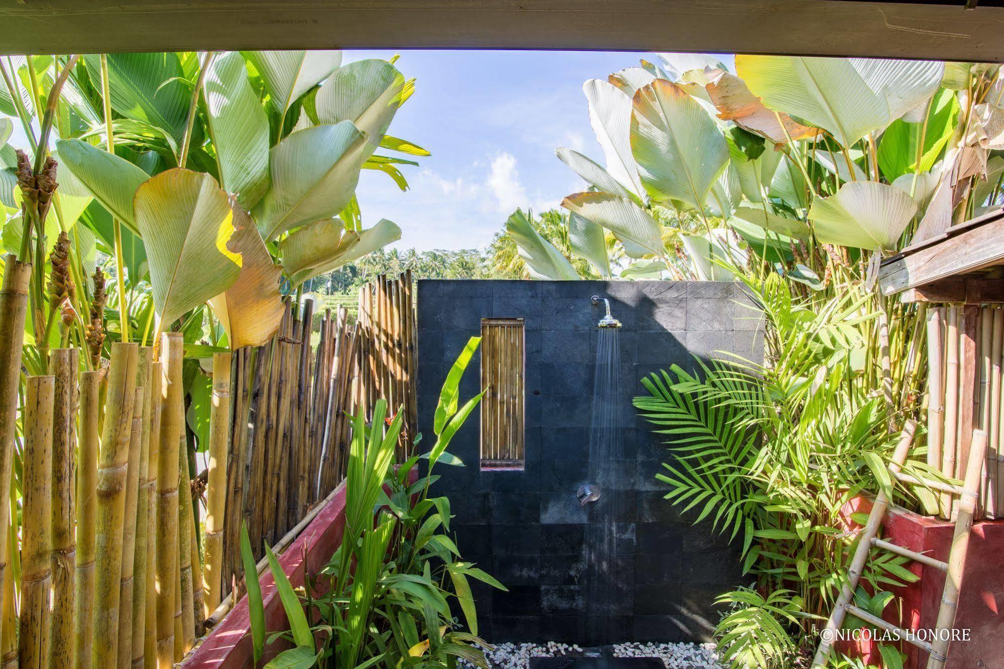 אובוד Hati Padi Cottages מראה חיצוני תמונה