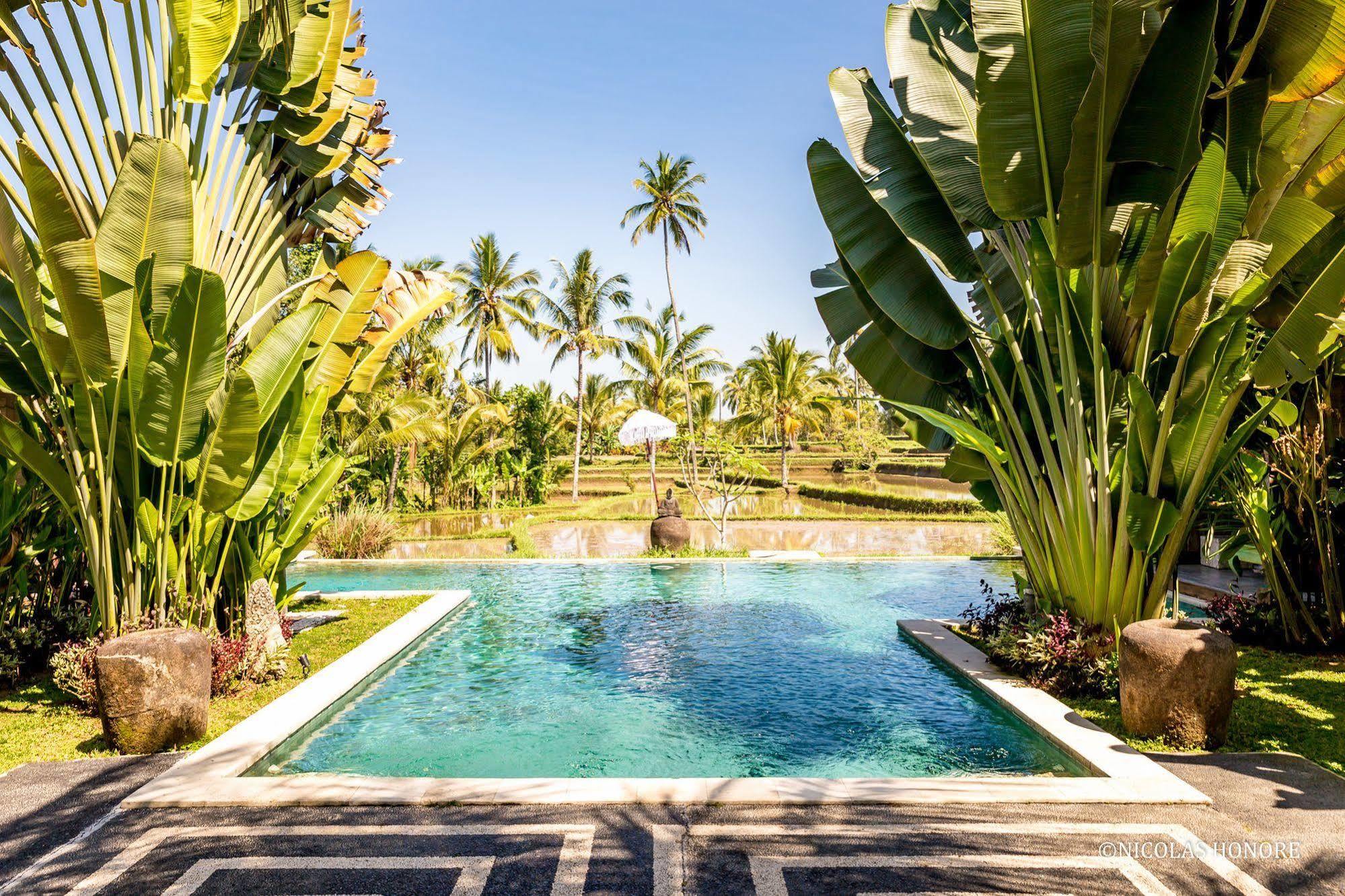 אובוד Hati Padi Cottages מראה חיצוני תמונה