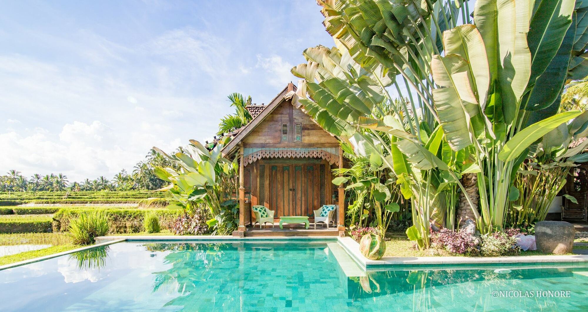 אובוד Hati Padi Cottages מראה חיצוני תמונה